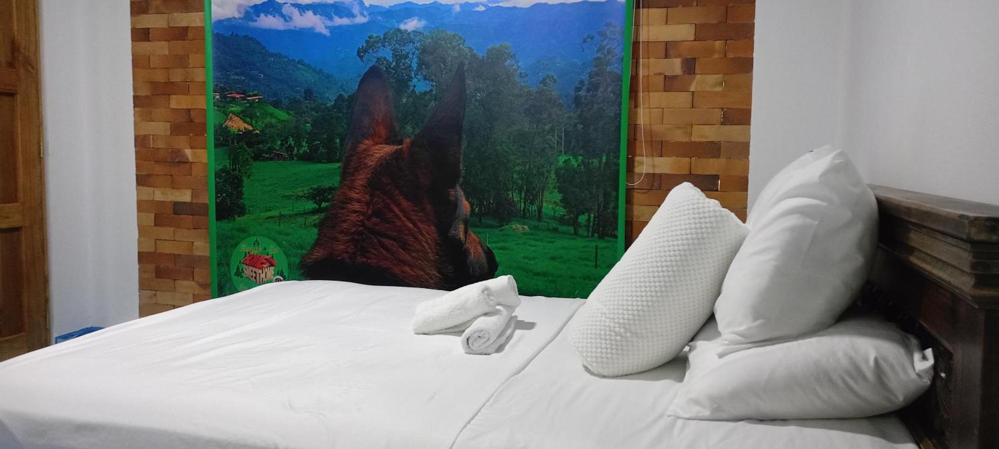 Eco-hotel Hogar En La Montana Sweet Lodge