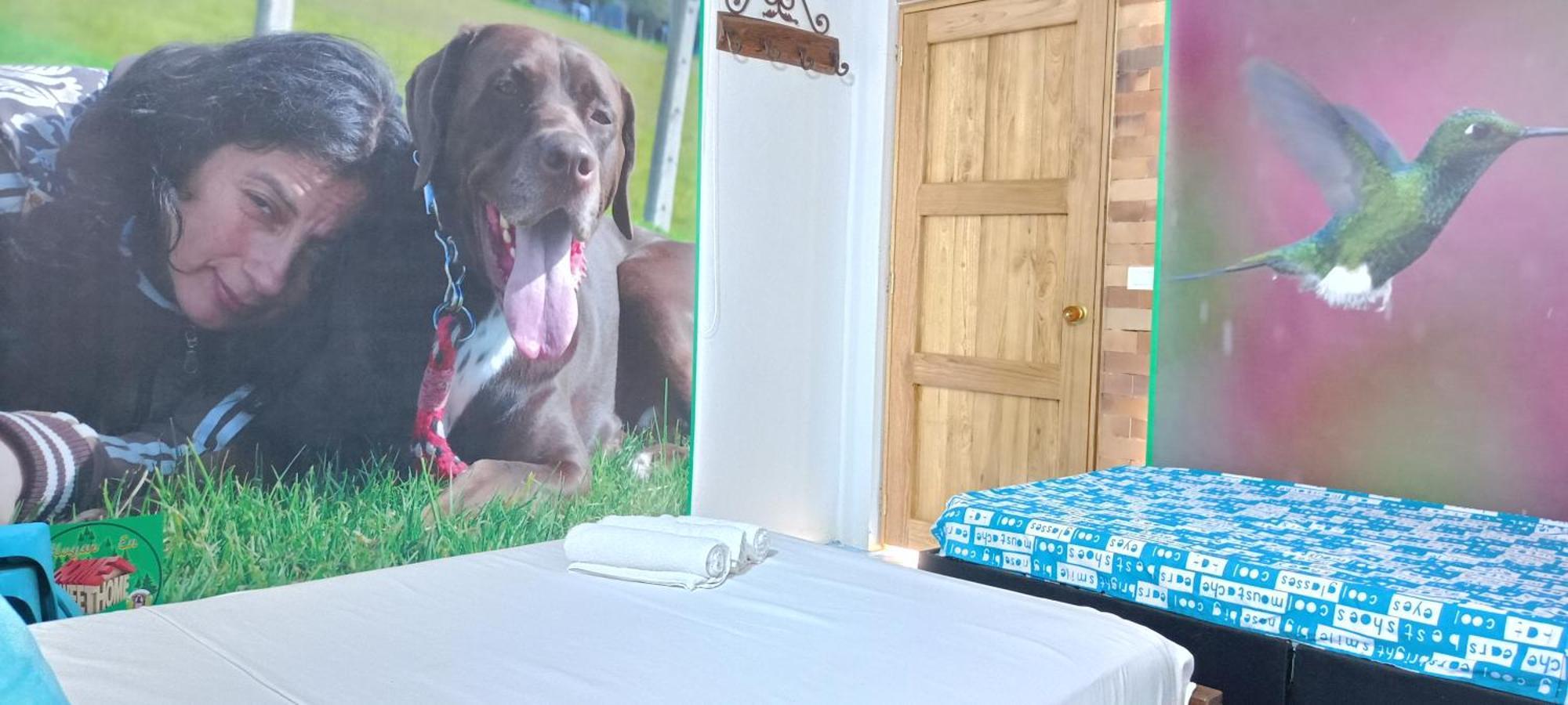 Eco-hotel Hogar En La Montana Sweet